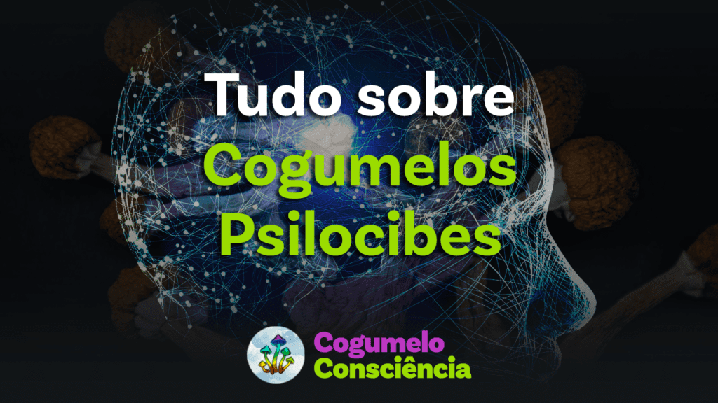 tudo sobre cogumelos psilocibes