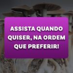 assista quando quiser, na ordem que preferir