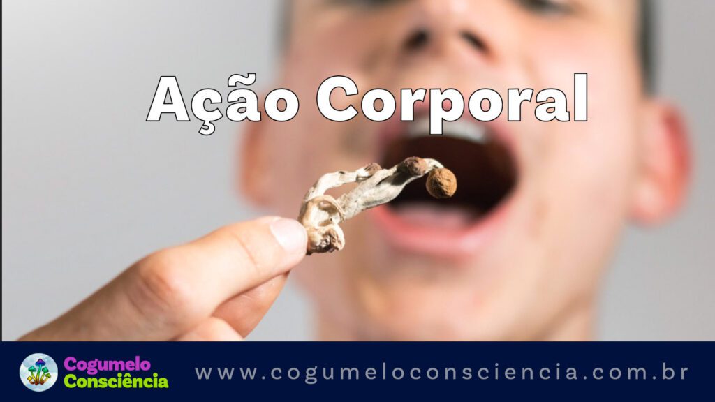 ação corporal