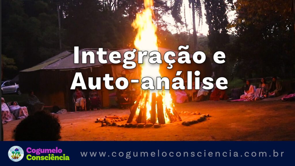 integração e auto-análise