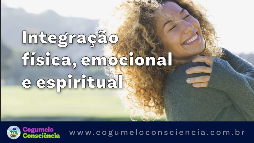 integração de experiência