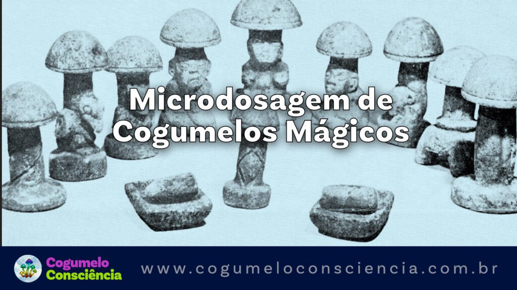 microdosagem de cogumelos mágicos, psilocibina