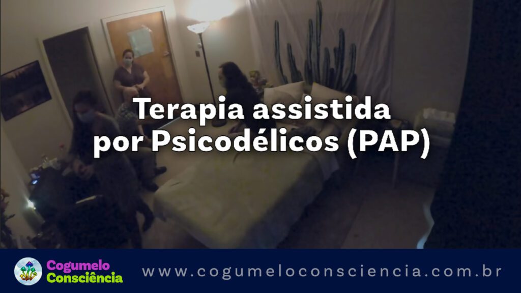 terapia assistida com psicodélicos