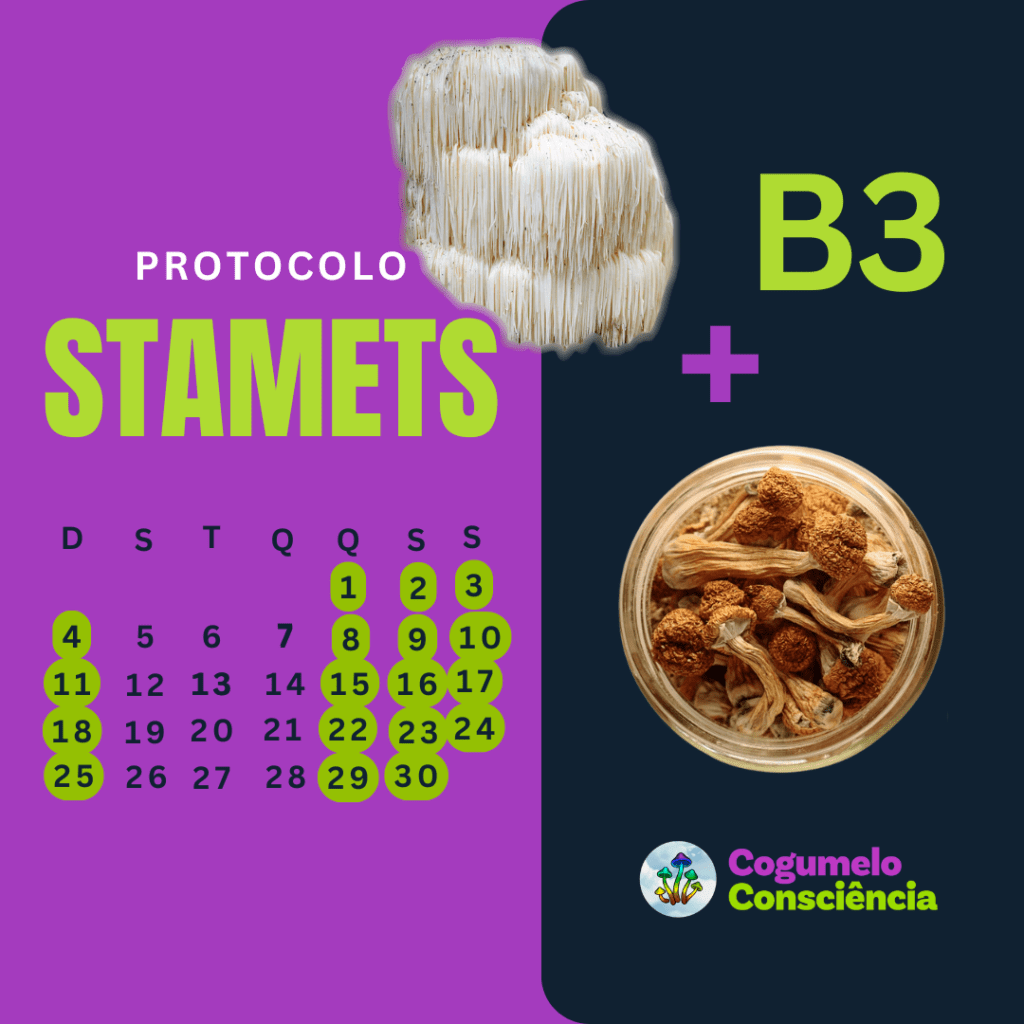 protocolo stamets com b3, niacina, juba de leão