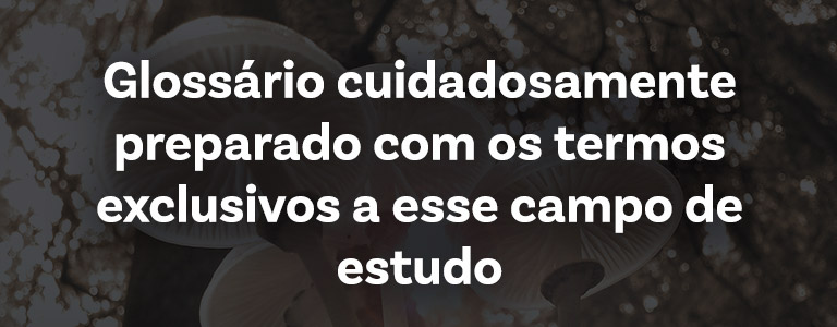 glossário cuidadosamente preparado com os termos exclusivos a esse campo de estudo